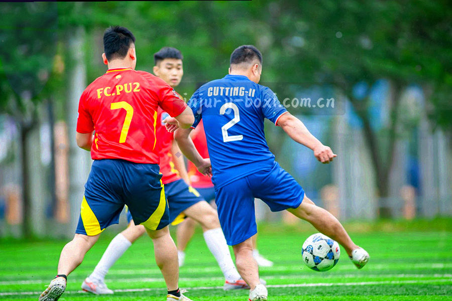 多列索引卡片与标签网格组成的球队资料检索示意，圆角卡片配刻度线